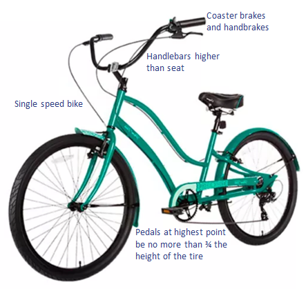 bike showing coaster brakes, handlebars, pedals for single speed bike