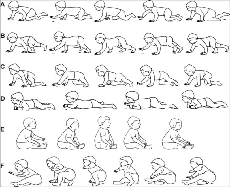 Diagram showing different types of crawlers