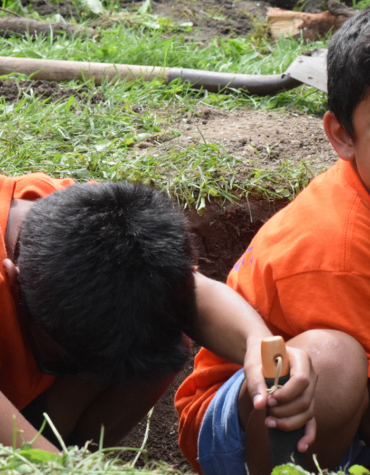 boys digging in a yard