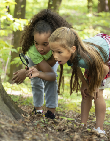 kids exploring the woods